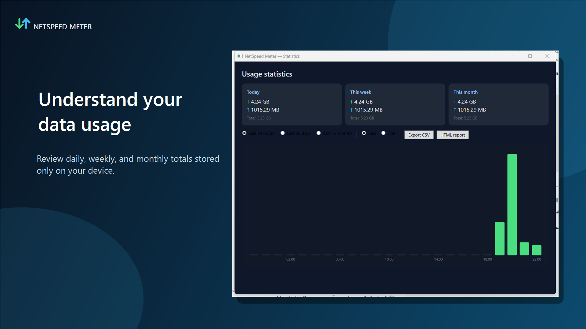 NetSpeed Meter local usage statistics and chart